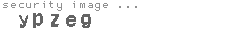 security image
